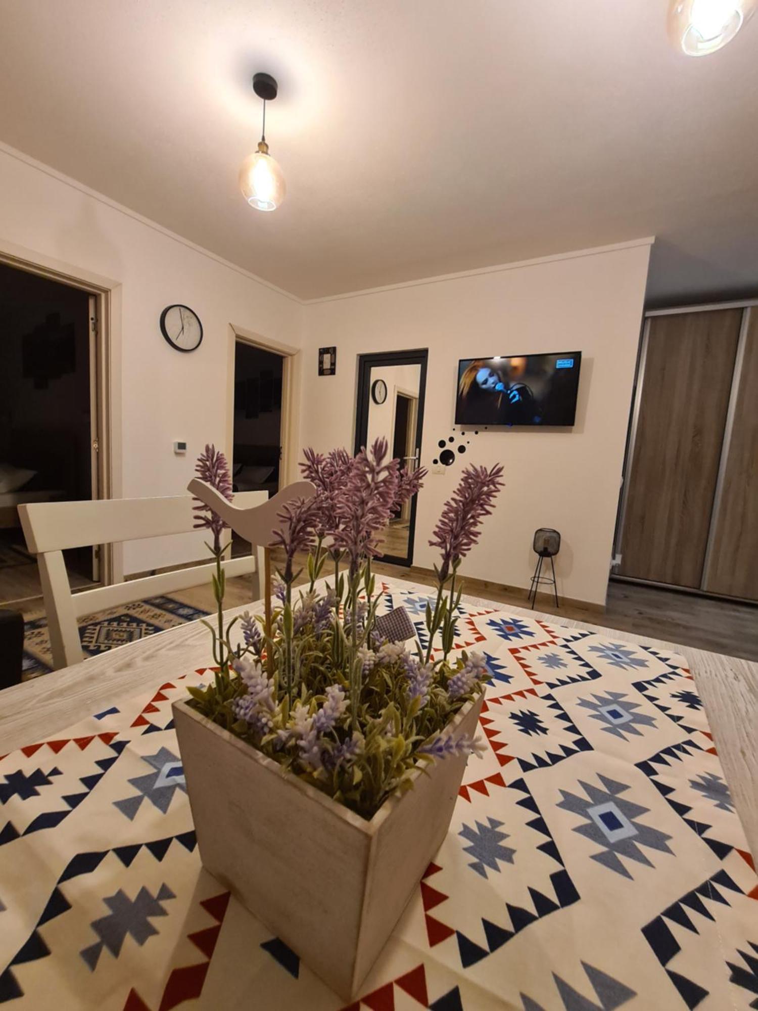 Apartment Eminescu *